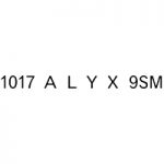 1017_alyx_9sm